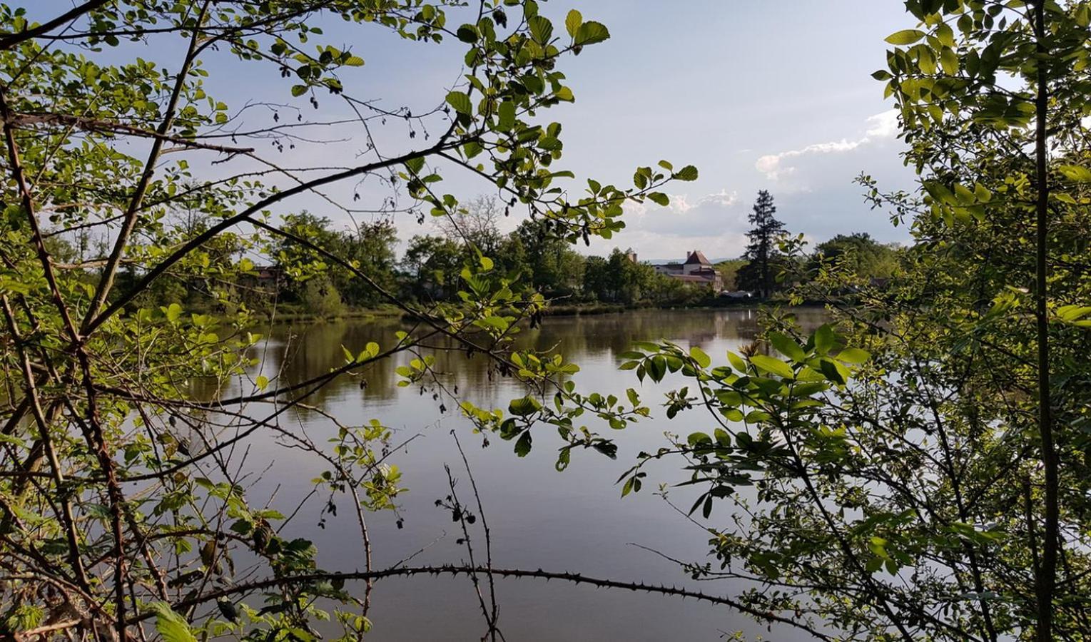 Chateau Des Perichons Poncins Zewnętrze zdjęcie