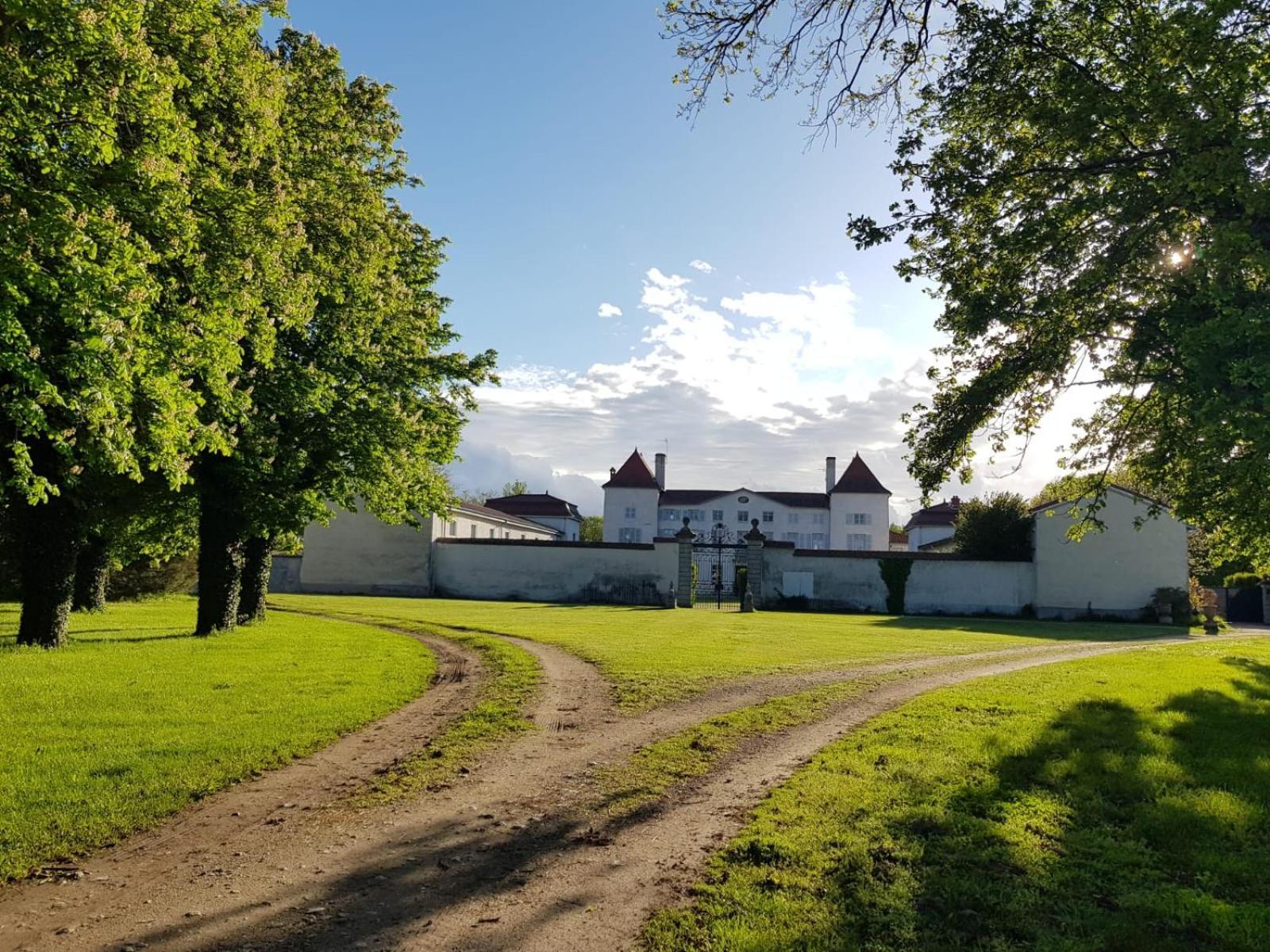 Chateau Des Perichons Poncins Zewnętrze zdjęcie